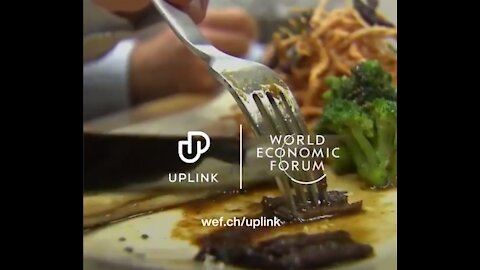 The World Economic Forum (Klaus Schwab) just posted this with the title 'a taste of what's to come'