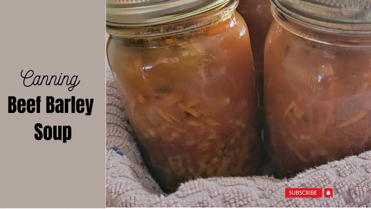 Canning Beef Barley Soup and a chick update!