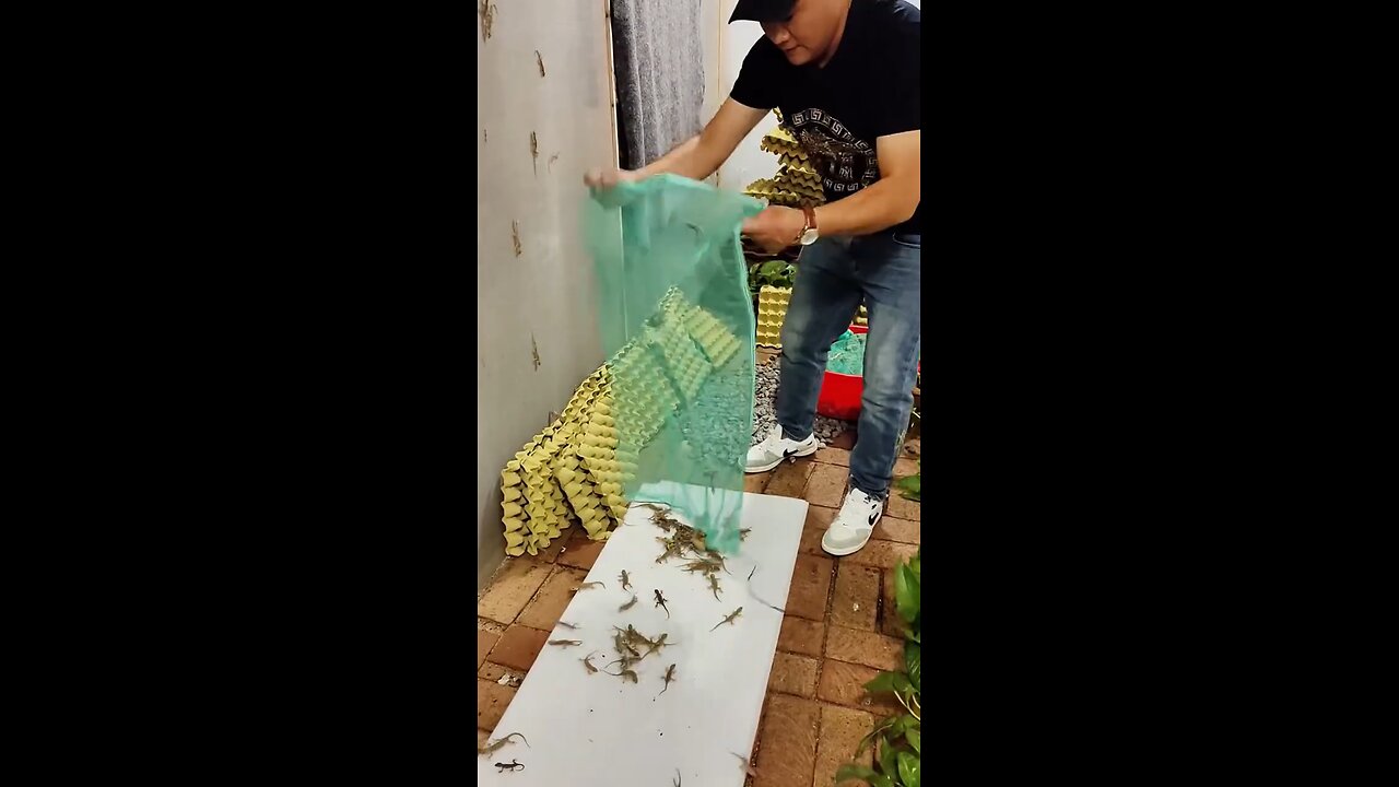 He catches lizard after 5yrs😲