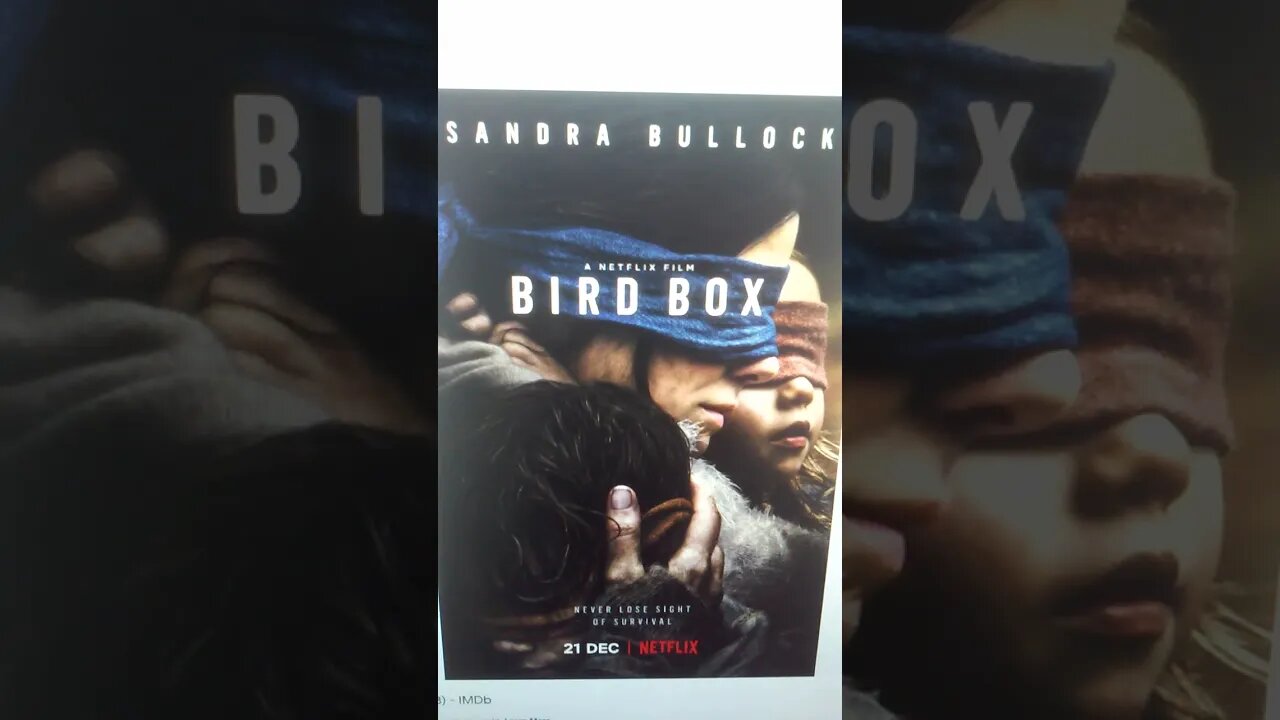 Netflix Creating a Cinematic Universe for Bird Box with Bird Box Barcelona?