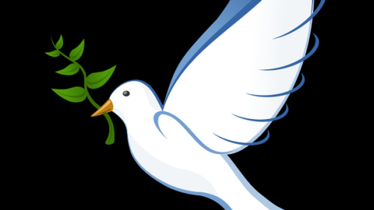 Schneider Part 4 Give me liberty