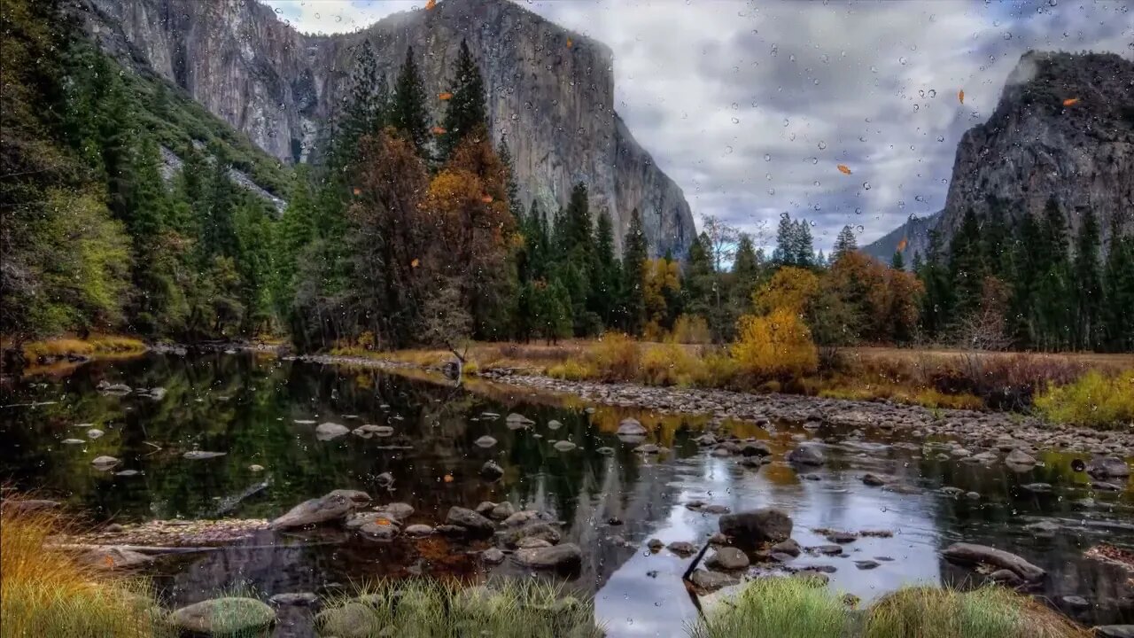 10 Hours: Fall Asleep INSTANTLY With THIS Rain Sound That Works 99% Of The Time