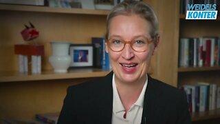 Nord Stream, Biden und Selenskyj Endlich Gesamtbild betrachten! Alice Weidel