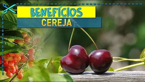 💰 Benefícios da Cereja | Origem, Vitaminas e Receitas