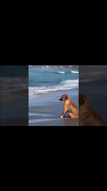 Idle Tuesday be like