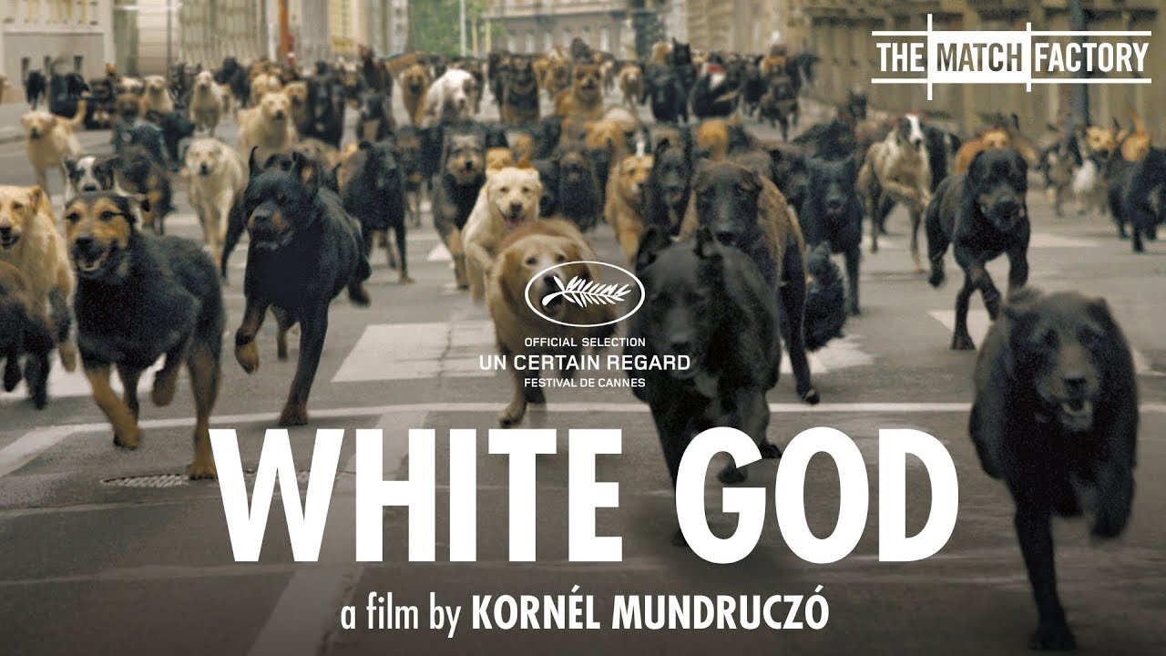 White God (2014) Movie Explained|Mr Hindi Rockers|