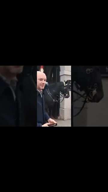 She gets away with pulling the Reins but he is not so lucky #horseguardsparade