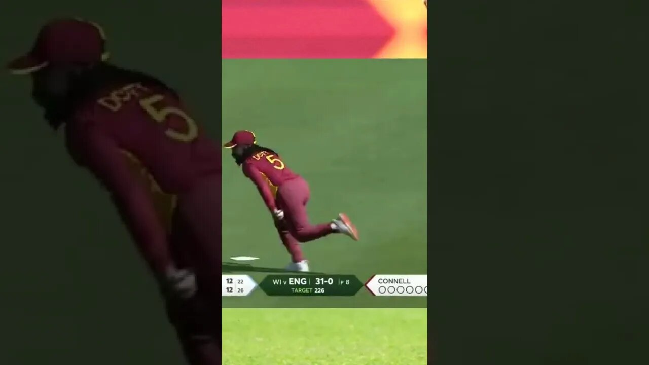 what a catch Dottin , unbelievable catches in cricket , best catches in the world #shorts