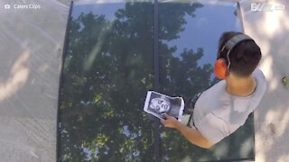 Artista parte vidro para criar retratos incríveis!