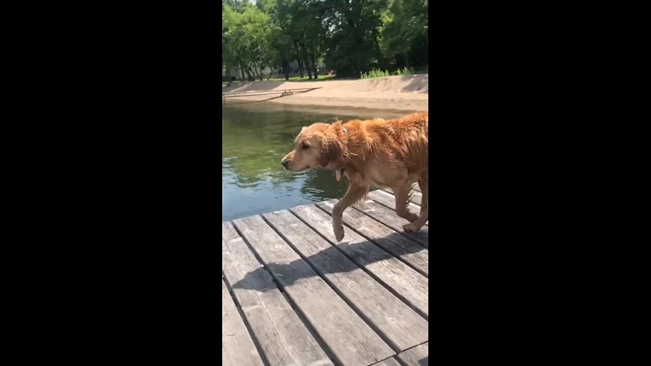 Al agua patos!