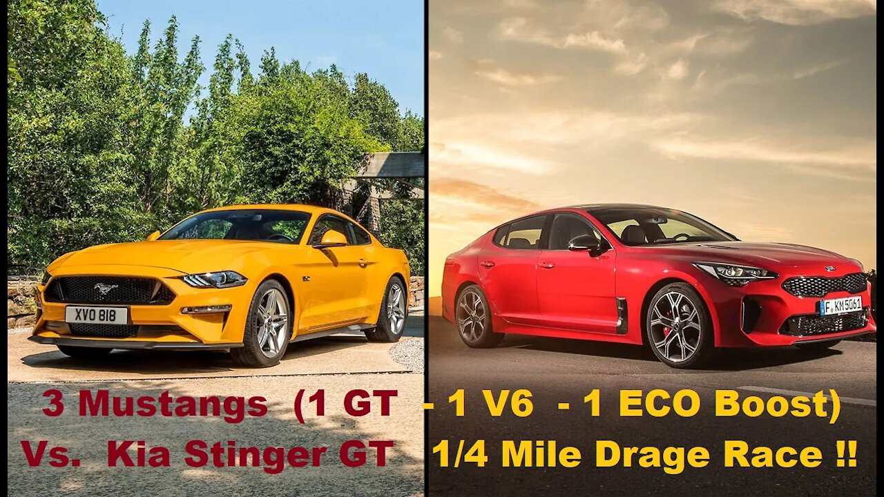 More Mustangs Vs. Kia Stinger GT 1/4 Mile Drag Races