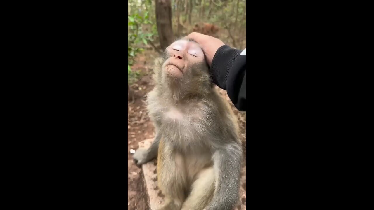 A very Pleasure Headmassage