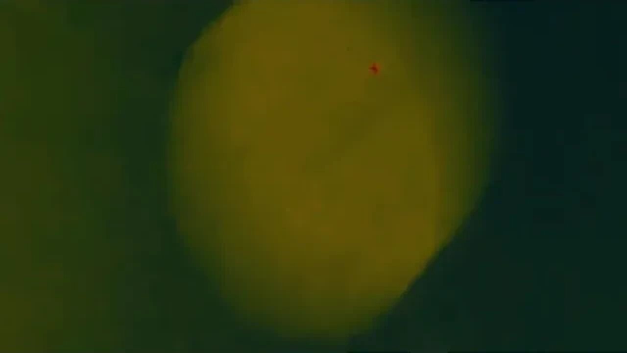 Orbs Show up again,