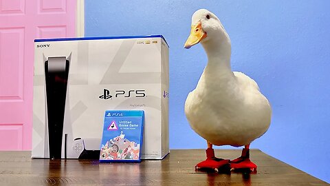 I bought my duck a PlayStation 5 🎮🦆