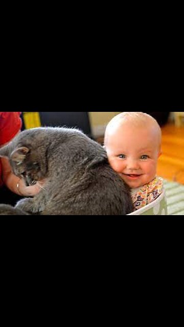 Cat in plastic bag makes baby laugh hysterically
