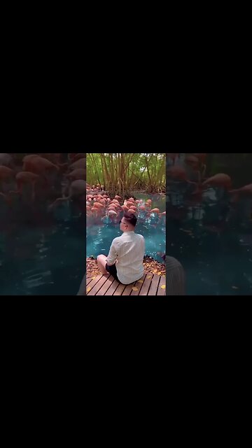 Colombia is a unique country, the only one in South America that has a coastline on both the Pacific