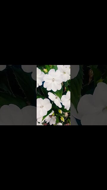 Yes, you have to go the distance sometimes.