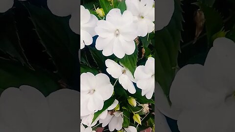 Yes, you have to go the distance sometimes.