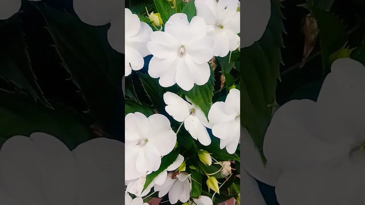 Yes, you have to go the distance sometimes.