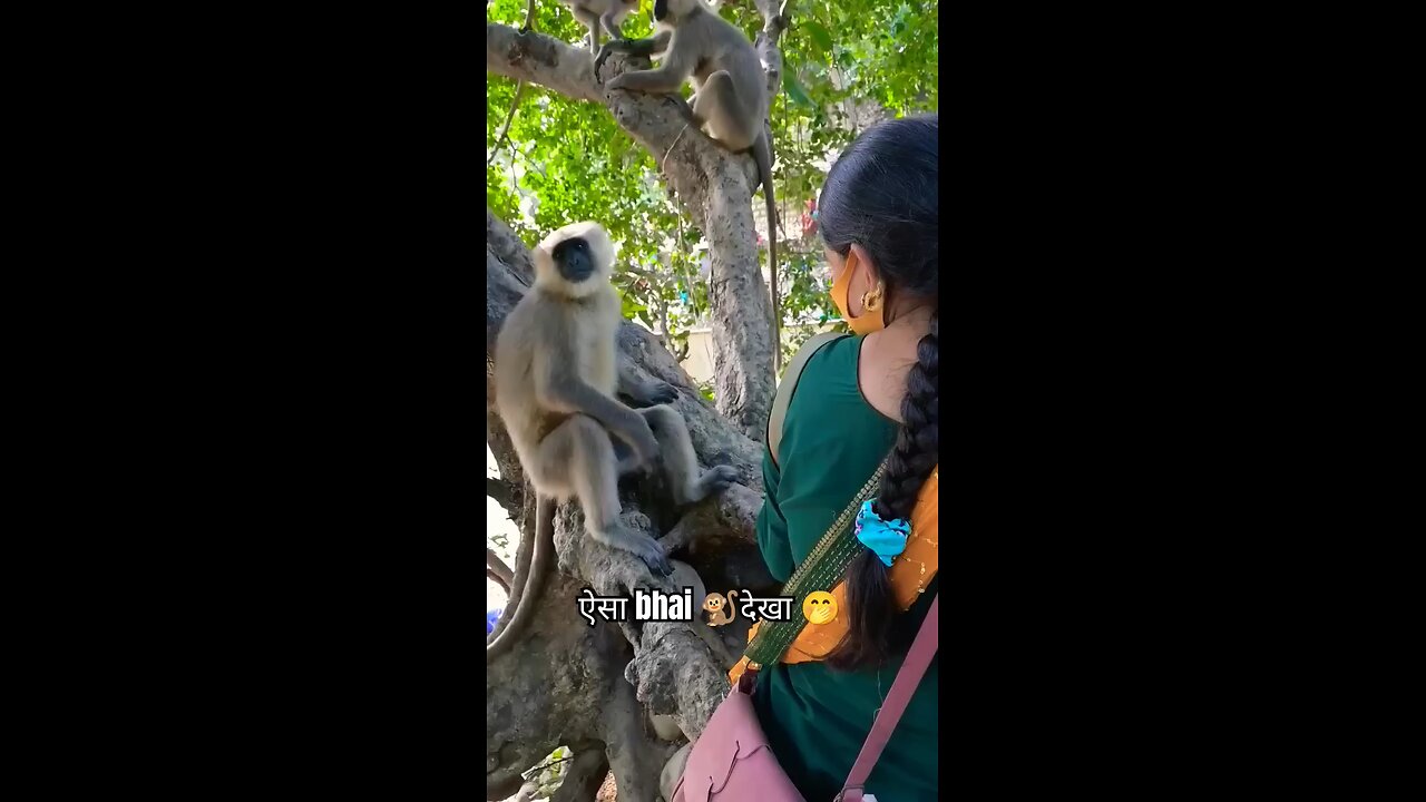 masti for monkey 😂😂