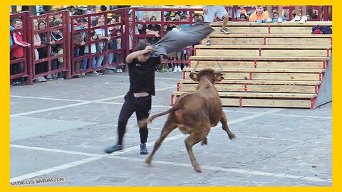 BARRIO SAN MIGUEL ( TARAZONA ) TARDE VACAS PLAZA ( SABADO 23 SEPTIEMBRE 2023 ) GANAD.MERINO