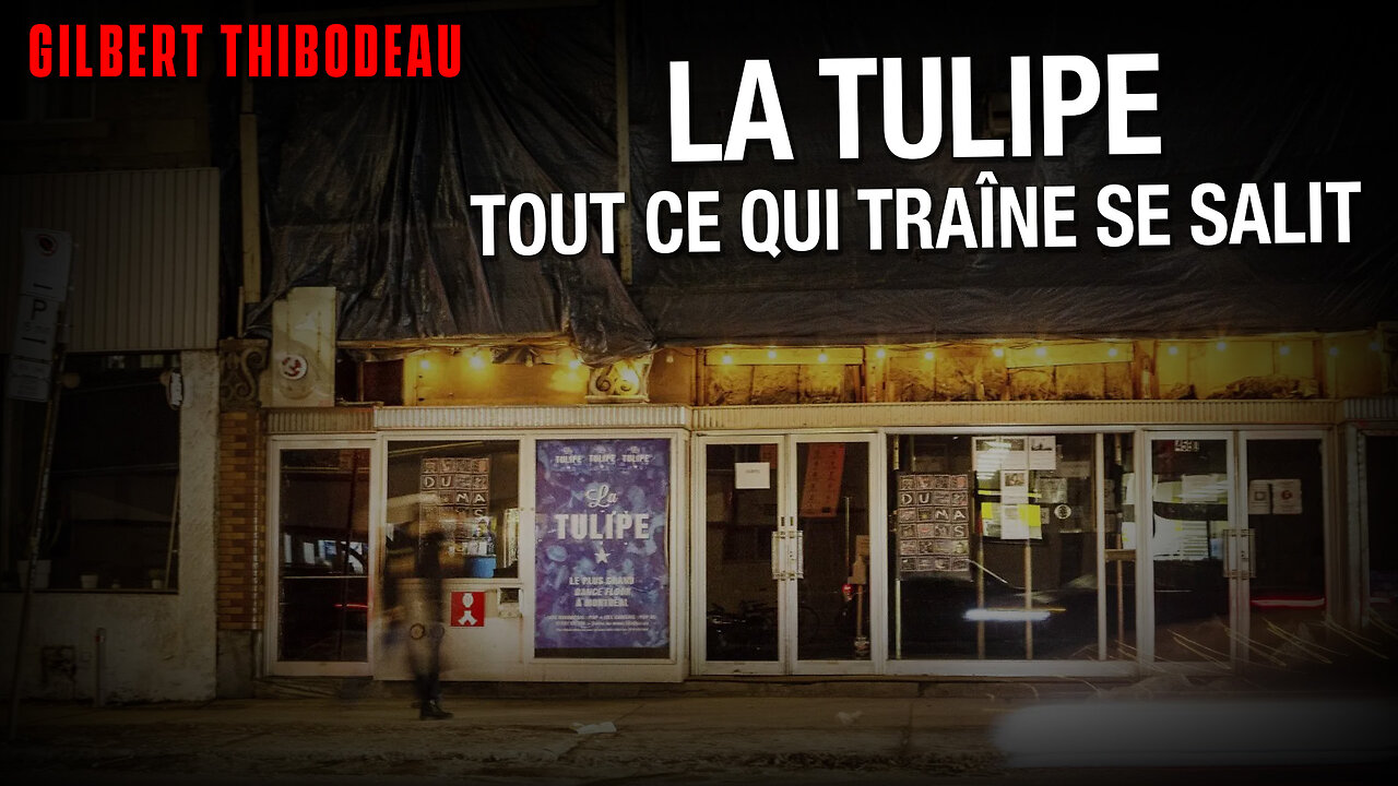 GILBERT THIBODEAU - LA TULIPE: TOUT CE QUI TRAÎNE SE SALIT