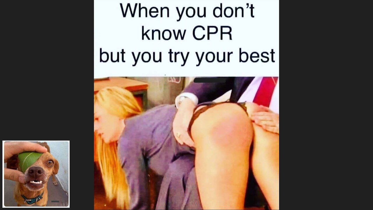 Memes That Will 99.847% Make You Laugh. (e72)