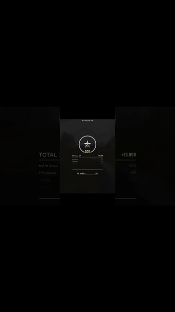 I reached Level 300 - Hell Let Loose