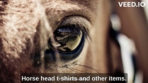 Horse head t-shirts and other items.