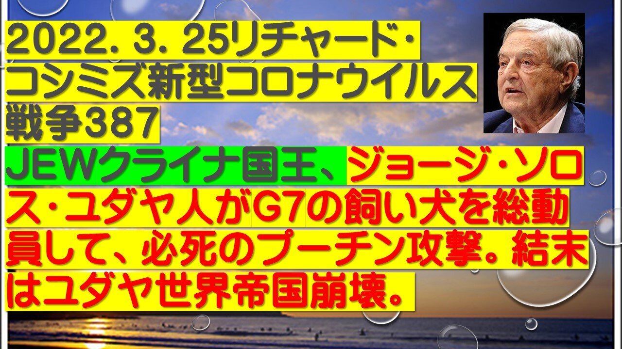 2022.03.25 リチャード・コシミズ新型コロナウイルス戦争３８７