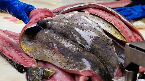 American Food - GIANT MAHI MAHI and GROUPER FISH Seafood Florida