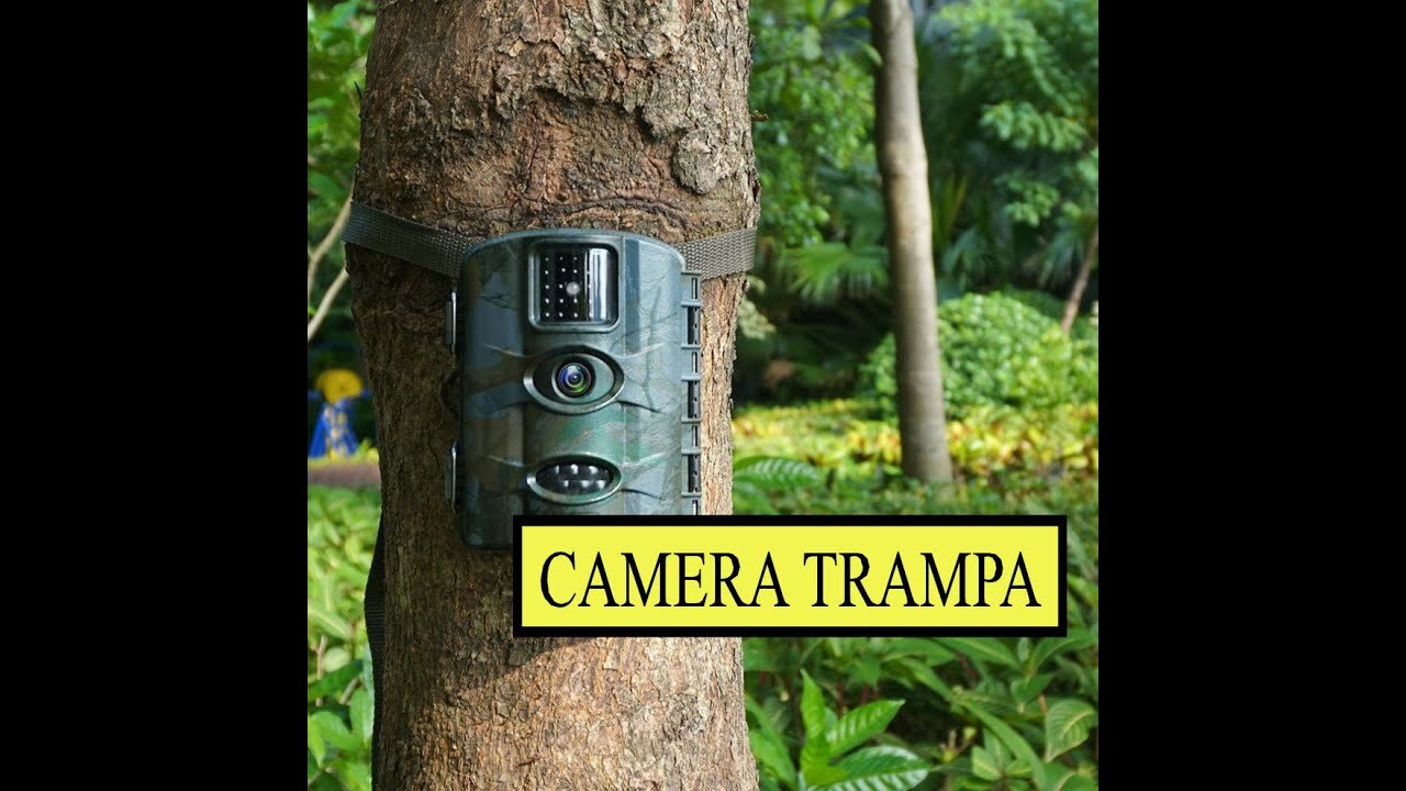 Comprobamos una camera trampa o camera de caza para ver los predatores