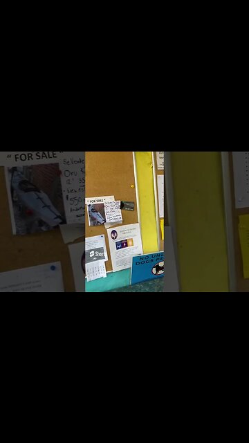 Visit the Lake Chapala Society #ajijic #lakechapala