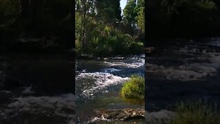 Amazing calming soothing river #river #soothing #calming