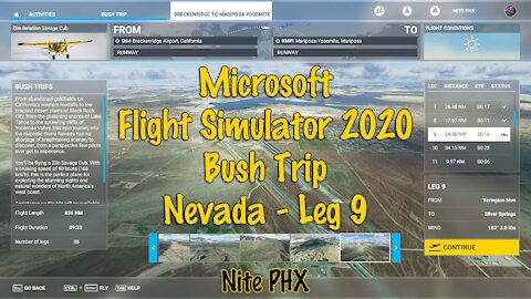 MSFS2020 Multiplayer Bush Trip Nevada Leg 9