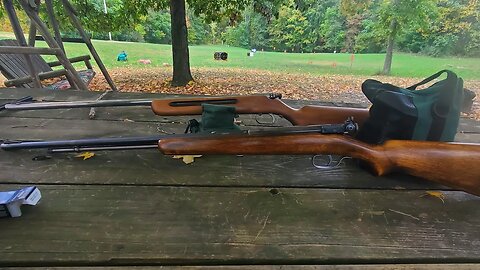 Project Guns Wards Western Field Model 36B and Steven's Model 66B.