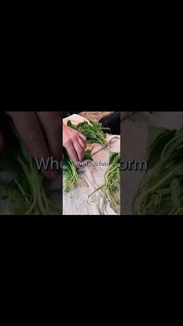 How To Dry Herbs