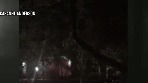 Man arrested after hitting woman with baseball bat