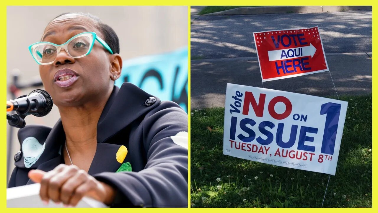 Nina Turner DEFENDS Ohio Ballot Measure (clip)