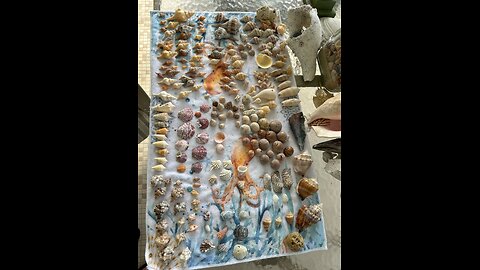 Beach Finds 8/7/24-8/8//24 | 4K