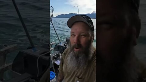 Fishing for salmon #alaska #alaskalife #stabicraft #fishing