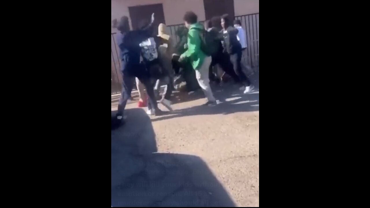 Blacks kids jump and murder 1 white kid