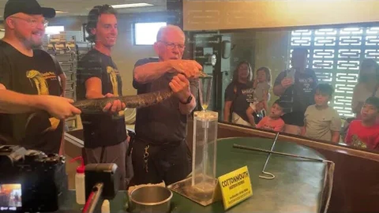 Reptile World Serpentarium 2023 09 16 15 32 50