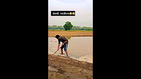saktimman🤣🤣🤣 pls follow