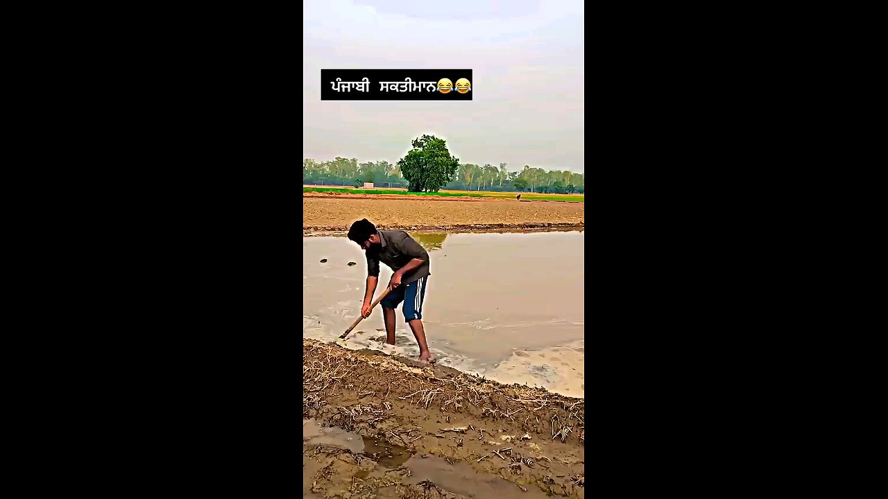 saktimman🤣🤣🤣 pls follow