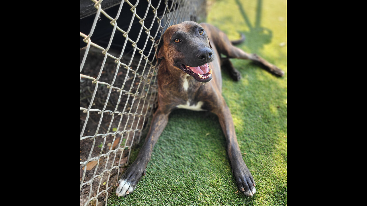 👩🏫Teaching Tuesdays! 🌟Update, Jason has been adopted!♥️