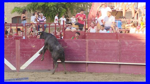 ARGUEDAS ( NAVARRA ) TARDE VACAS EN PLAZA ( VIERNES 11 AGOSTO 2023 ) GANAD.SANTOS ZAPATERIA