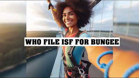 Navigating the Seas: Who Files the Importer Security Filing for Bungee?