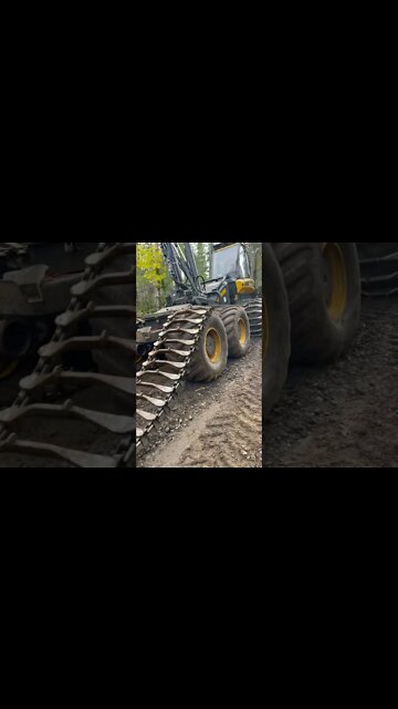 Most Amazing and trending video||relaxing your mind||trendig videos|| #shorts #trending #viral #live