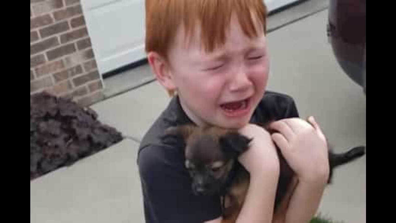 Menino chora ao receber um cachorrinho